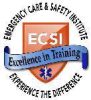 ECSI-logo